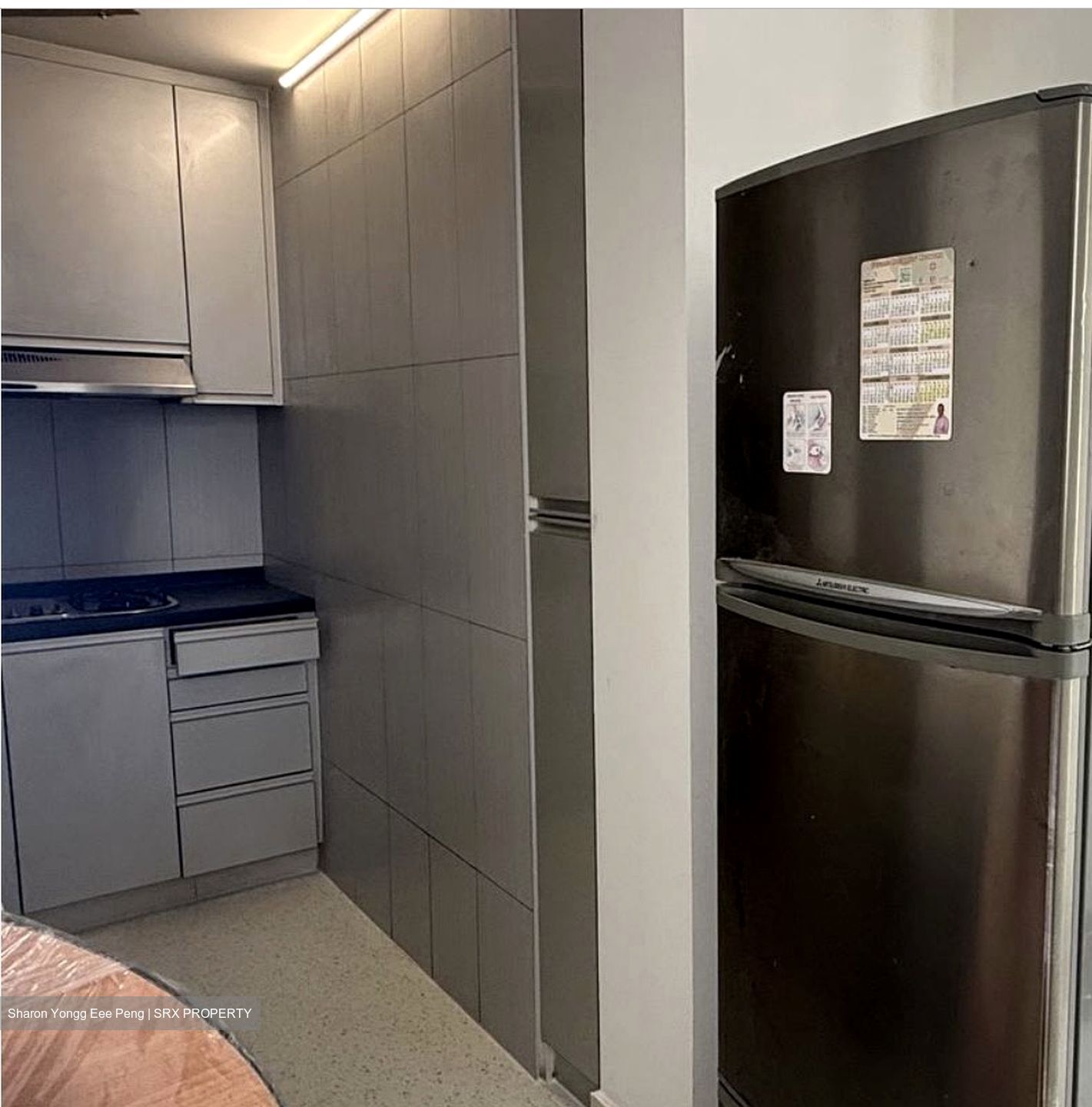Evergreen View (D14), Apartment #555472041